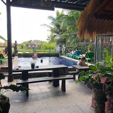 Green Paddy Hostel & Villa
